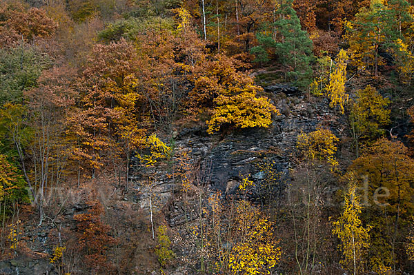 Thüringen (Thuringia)