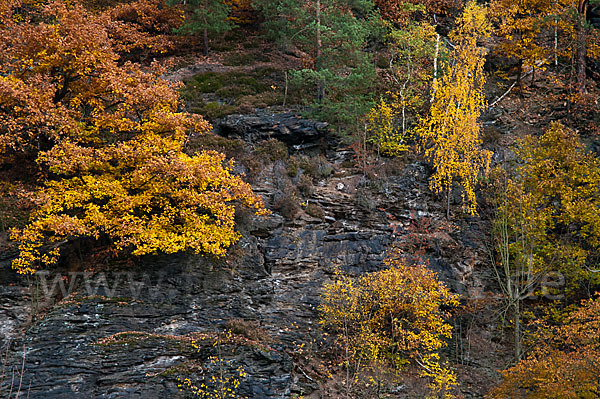 Thüringen (Thuringia)