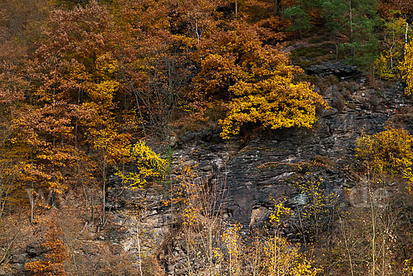 Thüringen (Thuringia)