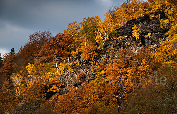 Thüringen (Thuringia)