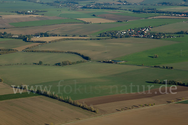 Thüringen (Thuringia)