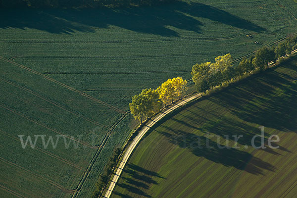 Thüringen (Thuringia)