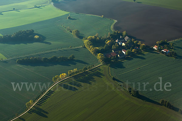 Thüringen (Thuringia)