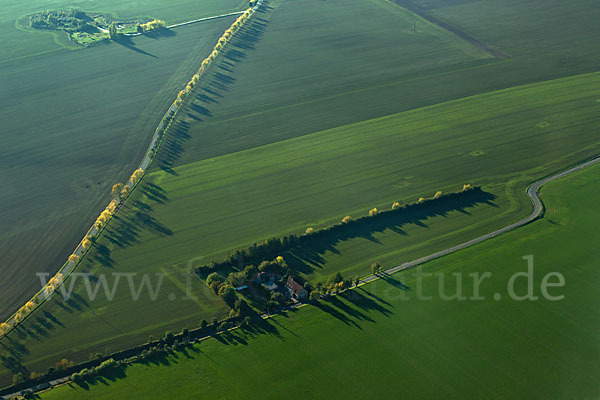 Thüringen (Thuringia)