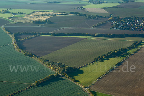 Thüringen (Thuringia)