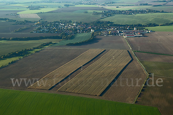 Thüringen (Thuringia)