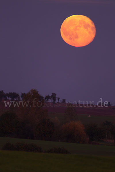 Thüringen (Thuringia)