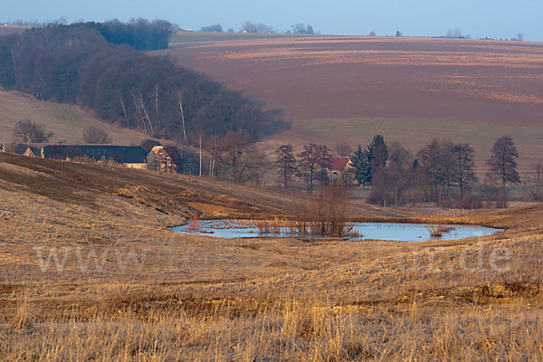 Thüringen (Thuringia)