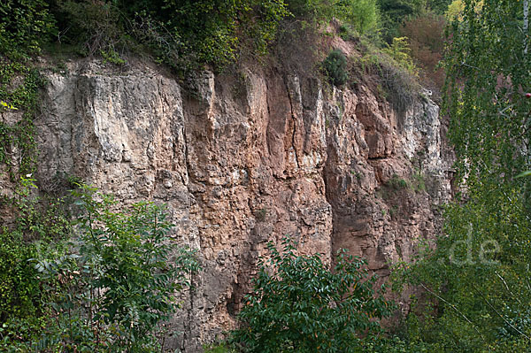 Thüringen (Thuringia)