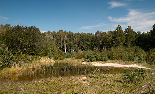 Thüringen (Thuringia)