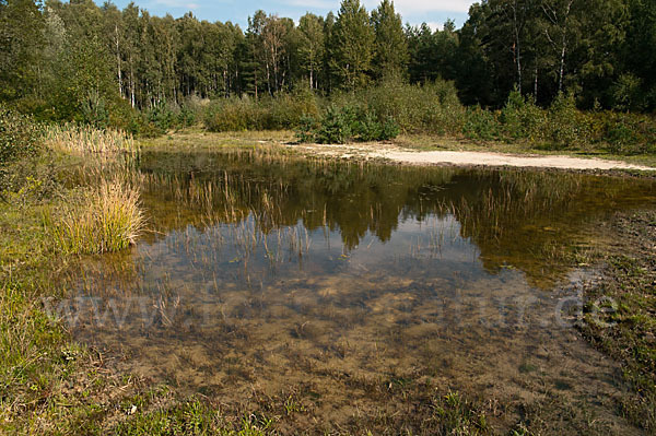 Thüringen (Thuringia)