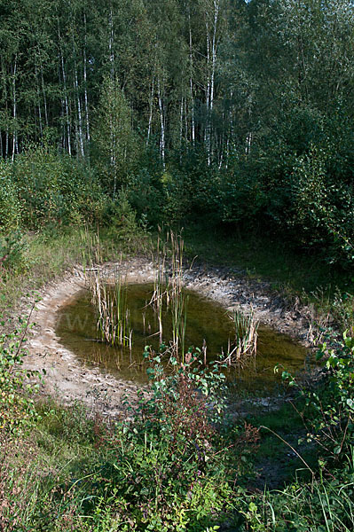 Thüringen (Thuringia)