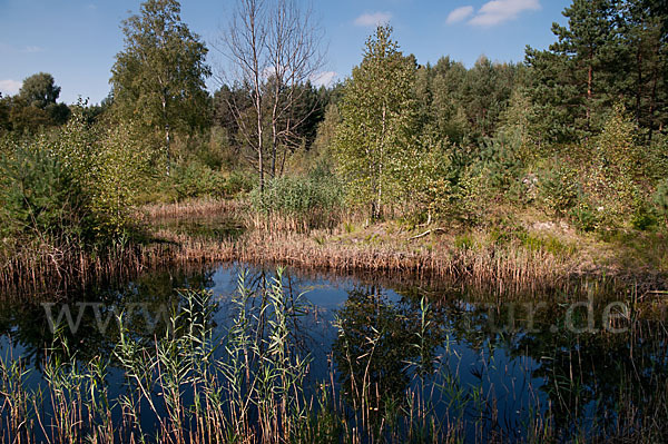 Thüringen (Thuringia)