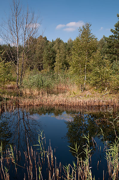 Thüringen (Thuringia)