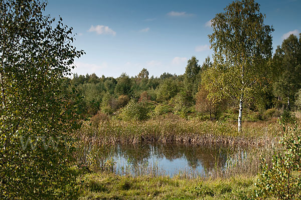 Thüringen (Thuringia)