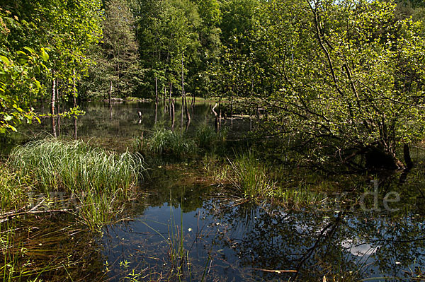 Thüringen (Thuringia)