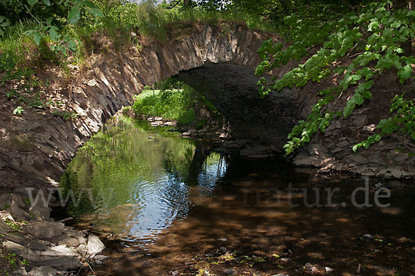 Thüringen (Thuringia)