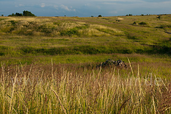 Thüringen (Thuringia)