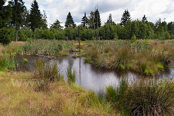 Thüringen (Thuringia)