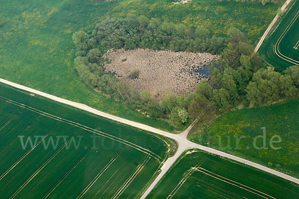 Thüringen (Thuringia)