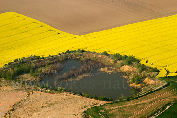 Thüringen (Thuringia)