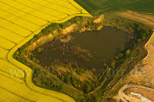 Thüringen (Thuringia)