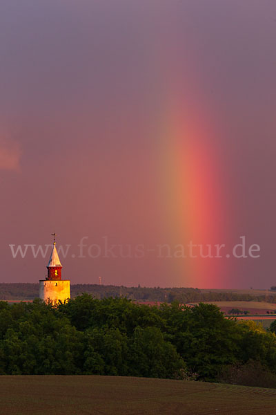 Thüringen (Thuringia)