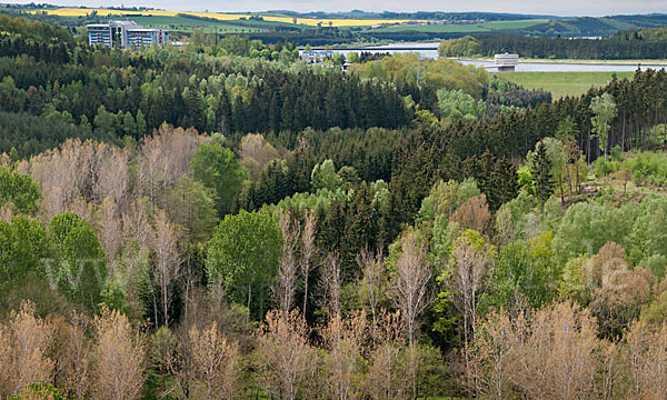 Thüringen (Thuringia)