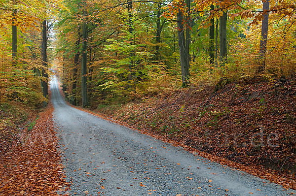 Thüringen (Thuringia)