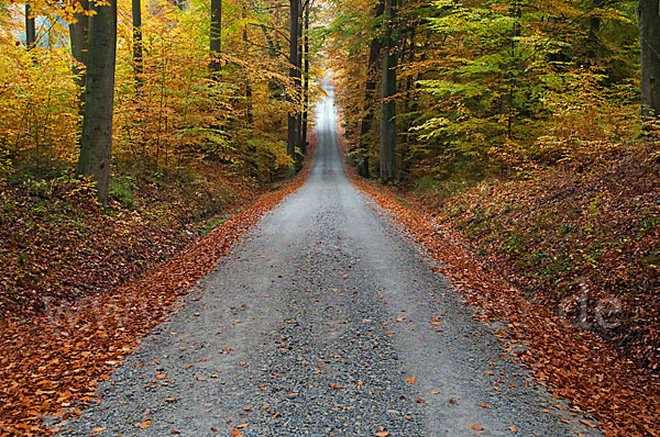 Thüringen (Thuringia)