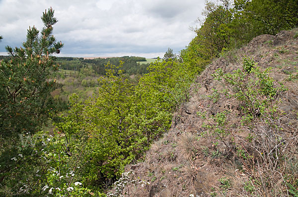 Thüringen (Thuringia)