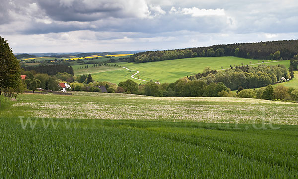 Thüringen (Thuringia)