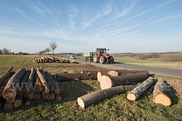 Thüringen (Thuringia)