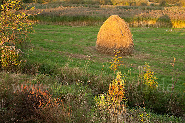 Thüringen (Thuringia)