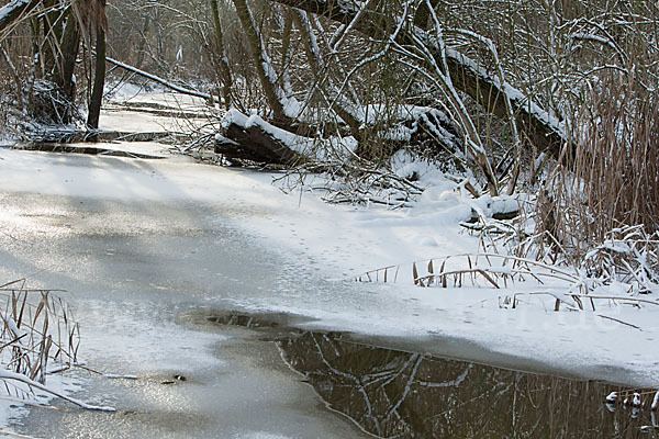 Thüringen (Thuringia)