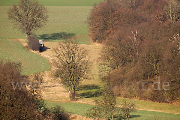 Thüringen (Thuringia)