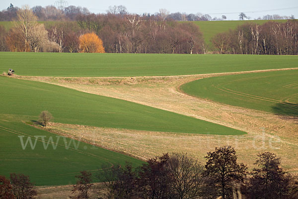 Thüringen (Thuringia)