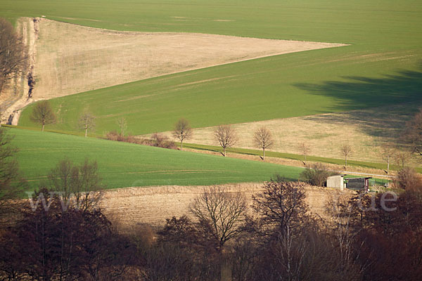 Thüringen (Thuringia)