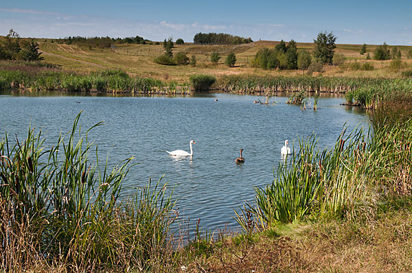 Thüringen (Thuringia)