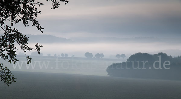 Thüringen (Thuringia)