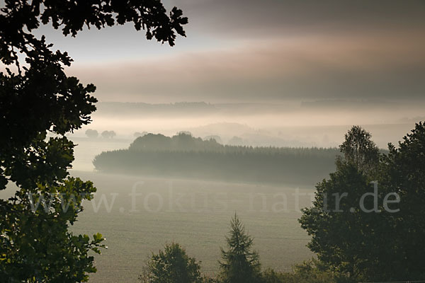 Thüringen (Thuringia)