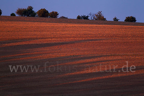 Thüringen (Thuringia)