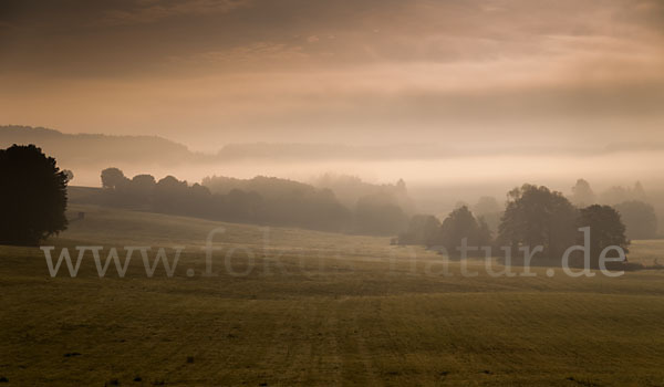 Thüringen (Thuringia)