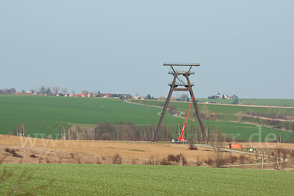 Thüringen (Thuringia)