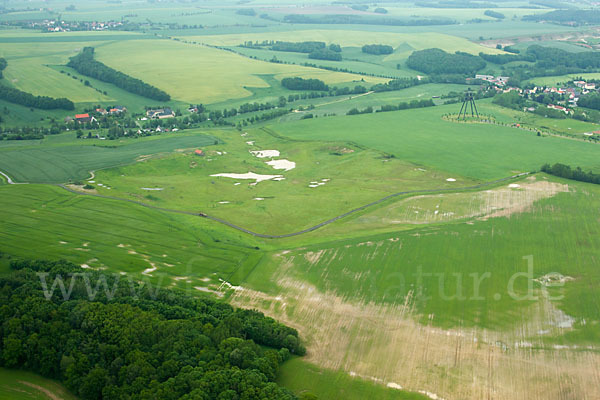 Thüringen (Thuringia)