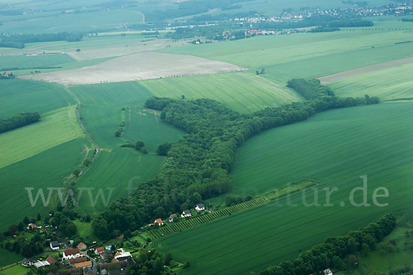 Thüringen (Thuringia)