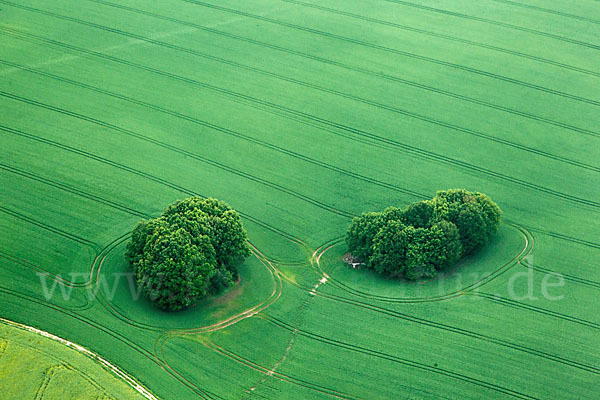 Thüringen (Thuringia)