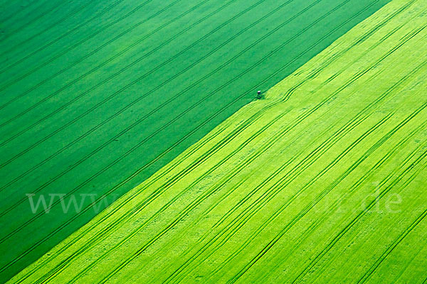 Thüringen (Thuringia)