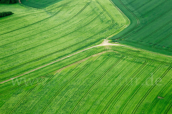 Thüringen (Thuringia)