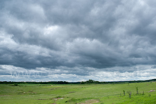 Thüringen (Thuringia)